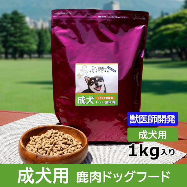 デイリースタイル 成犬用 1kg入...